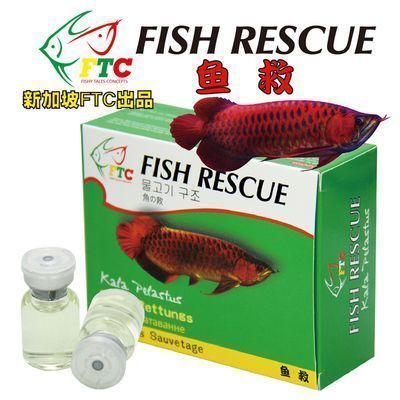 紅龍魚苗發(fā)色影響因素，紅龍魚苗的發(fā)色是一個復雜的過程 觀賞魚市場（混養(yǎng)魚） 第3張