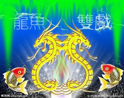 紅龍魚節(jié)日價格變動規(guī)律，紅龍魚價格波動預測方法紅龍魚價格波動預測方法