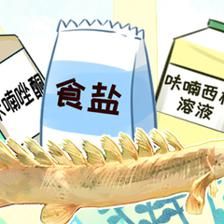 杰西卡恐龍魚水霉病預(yù)防措施，如何判斷龍魚受傷，龍魚飼料選擇指南，龍魚疾病早期癥狀識(shí)別 觀賞魚市場(chǎng)（混養(yǎng)魚） 第4張