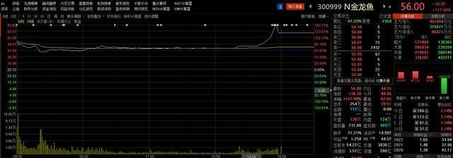 金龍魚銷售收入多少，中國(guó)領(lǐng)先的食品公司金龍魚銷售收入呈現(xiàn)穩(wěn)步增長(zhǎng)的趨勢(shì) 龍魚百科 第4張