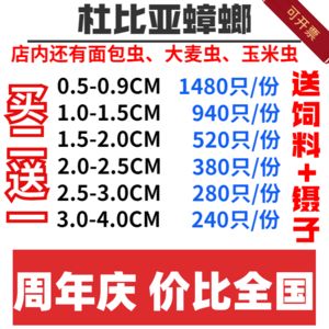 龍魚市場價格走勢圖，2024年成年龍魚價格走勢圖表，如何辨別龍魚品相優(yōu)劣 龍魚百科 第5張