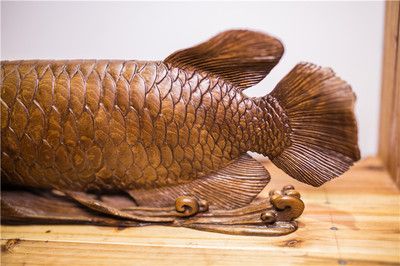 金龍魚(yú)值得買嗎，金龍魚(yú)值得購(gòu)買還是知名的糧油品牌金龍魚(yú)觀賞魚(yú)品種介紹 龍魚(yú)百科 第3張