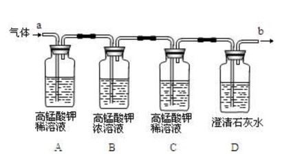 鱘龍魚多少錢一個(gè)斤重，-鱘龍魚的價(jià)格通常受到哪些因素影響 水族問答