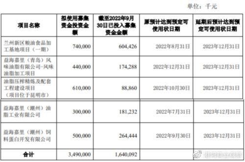 金龍魚(yú)資金，金龍魚(yú)資金使用情況及其對(duì)企業(yè)發(fā)展的影響及其對(duì)企業(yè)發(fā)展的影響