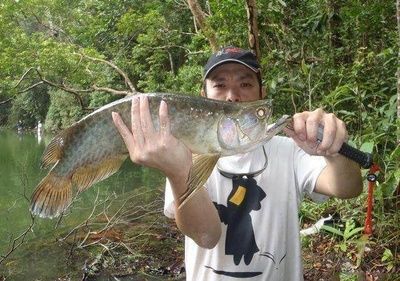 龍魚吃的很少什么原因怎么辦呢，龍魚食欲下降可能由多種因素引起龍魚食欲下降的原因以及解決策略