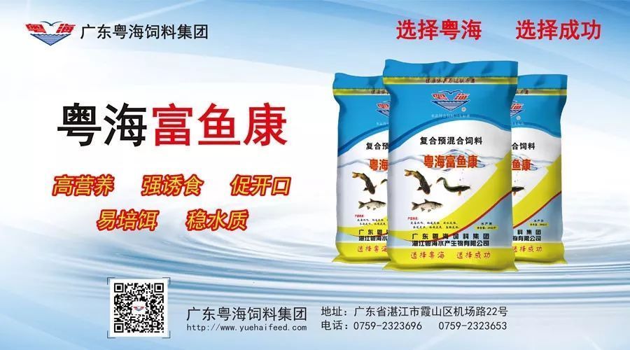 金龍魚鑒賞要點，關(guān)于金龍魚的5個問題 水族問答