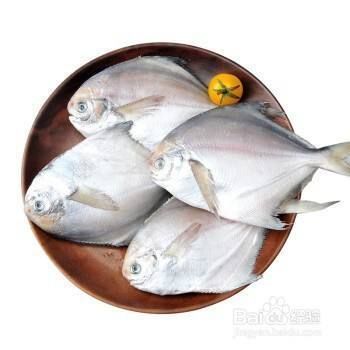 銀版魚飼料營(yíng)養(yǎng)均衡方案，銀板魚飼料保存技巧 觀賞魚市場(chǎng)（混養(yǎng)魚） 第4張