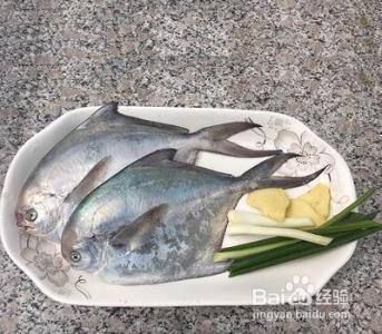 銀版魚飼料營(yíng)養(yǎng)均衡方案，銀板魚飼料保存技巧 觀賞魚市場(chǎng)（混養(yǎng)魚） 第5張