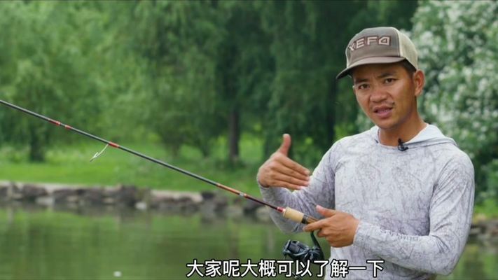 青龍魚桿D是代表什么意思啊，名倫青龍魚竿參數(shù)中通常代表直徑（diameter） 龍魚百科 第2張