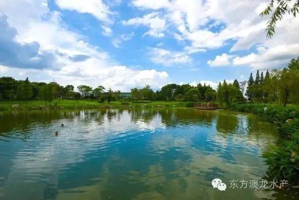 繁殖期間水質(zhì)管理技巧，如何檢測魚缸水質(zhì)參數(shù)，魚缸水質(zhì)凈化實(shí)用技巧 觀賞魚市場（混養(yǎng)魚） 第2張