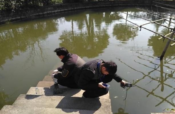 紅頭利魚水溫控制技巧，紅頭利魚水溫控制技巧介紹 觀賞魚市場(chǎng)（混養(yǎng)魚） 第4張