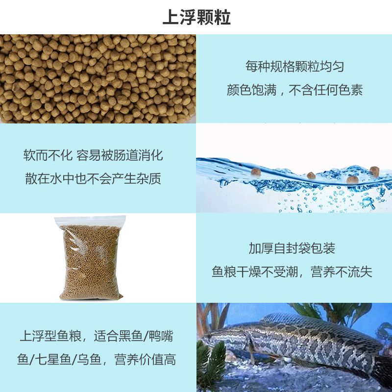 鴨嘴魚飼料配方優(yōu)化，鴨嘴魚飼料配方優(yōu)化是提高養(yǎng)殖效率和降低成本的關鍵 觀賞魚市場（混養(yǎng)魚） 第4張