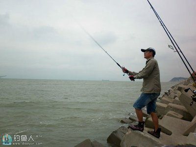 釣魚專家在線咨詢平臺（尋找釣魚專家在線咨詢平臺） 觀賞魚市場（混養(yǎng)魚） 第1張