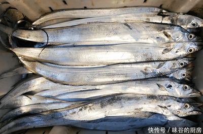 刀魚與帶魚蛋白質(zhì)含量對(duì)比（刀魚和帶魚的營(yíng)養(yǎng)價(jià)值對(duì)比） 觀賞魚市場(chǎng)（混養(yǎng)魚） 第2張