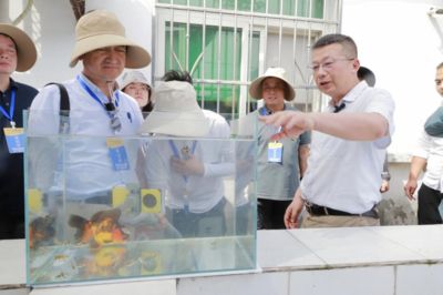 匙吻鱘對(duì)水質(zhì)凈化的作用（匙吻鱘在水質(zhì)凈化方面具有不可替代的作用） 觀賞魚市場(chǎng)（混養(yǎng)魚） 第4張