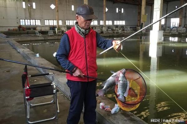 金龍魚活餌與冷凍餌區(qū)別（如何判斷金龍魚喜歡哪種餌料） 觀賞魚市場（混養(yǎng)魚） 第5張