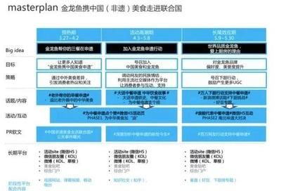 金龍魚營銷案例分析ppt（金龍魚品牌營銷案例分析） 龍魚百科 第3張