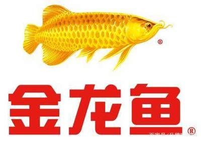 金龍魚營銷案例分析ppt（金龍魚品牌營銷案例分析） 龍魚百科 第5張