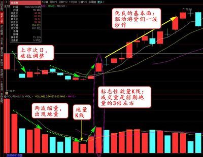 金龍魚新股股吧（金龍魚市場競爭力分析） 龍魚百科 第1張