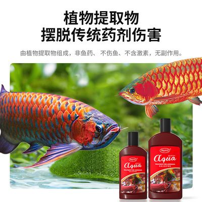 龍魚水質(zhì)不好怎么辦用什么調(diào)理（如何自制龍魚飼料，龍魚水族箱換水技巧，增加龍魚溶氧量方法） 龍魚百科 第3張