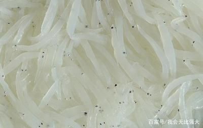 銀魚人工養(yǎng)殖技術(shù)最新進展（銀魚人工養(yǎng)殖技術(shù)在水產(chǎn)養(yǎng)殖方面取得了一些新的進展） 觀賞魚市場（混養(yǎng)魚） 第5張