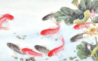 龍魚批發(fā)祥龍魚場（祥龍魚場龍魚價格及種類） 龍魚百科 第3張