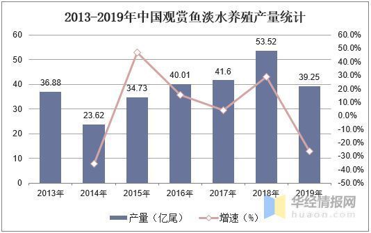 觀賞魚市場增長動力分析（全球觀賞魚市場的增長動力來自于市場的增長動力來了）