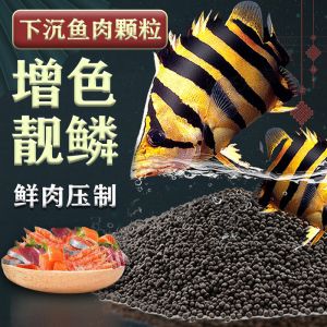 巴西亞魚(yú)繁殖期餌料品牌推薦（巴西亞魚(yú)繁殖期餌料品牌推薦-化氏與十大魚(yú)餌料品牌排行榜） 觀賞魚(yú)市場(chǎng)（混養(yǎng)魚(yú)） 第2張