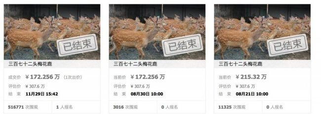 金龍魚最高成交價（金龍魚在拍賣市場上的最高成交價1.58億元）