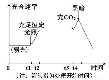 龍魚喂什么長(zhǎng)的快一點(diǎn)好養(yǎng)（龍魚喂養(yǎng)常見誤區(qū)解析龍魚的喂食策略對(duì)龍魚的影響） 龍魚百科 第5張