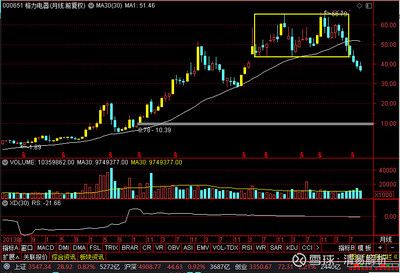 金龍魚行情分析最新消息 龍魚百科 第4張