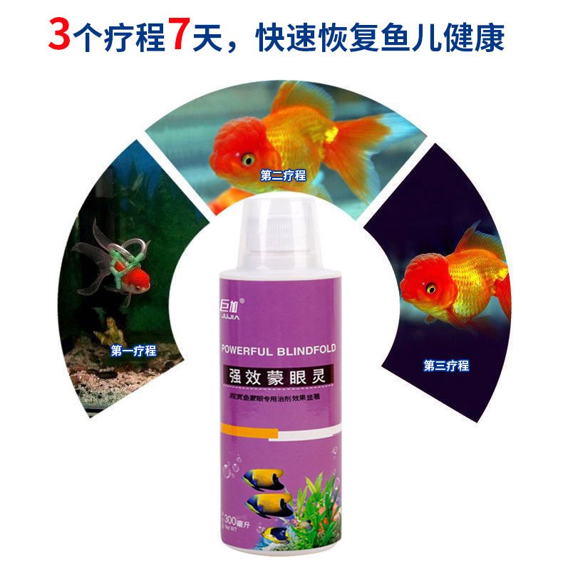 龍魚蒙眼病用什么藥好使（治療龍魚蒙眼病時需要注意什么，龍魚蒙眼病的日常預防方法） 龍魚百科 第4張