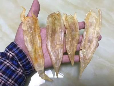 金龍魚膠的功效及吃法（金龍魚膠美容食譜推薦，金龍魚膠適合哪些人群食用） 龍魚百科 第5張