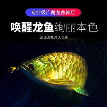 龍魚t8燈管（如何根據(jù)魚缸尺寸選燈管功率，） 龍魚百科 第5張