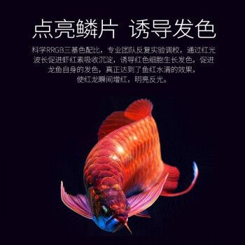 龍魚t8燈管（如何根據(jù)魚缸尺寸選燈管功率，） 龍魚百科 第3張