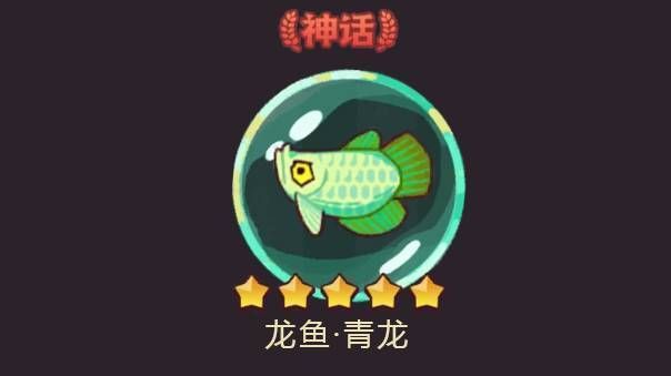 龍魚青龍升星（游戲論壇升星攻略匯總龍魚青龍升星效果展示） 龍魚百科 第4張