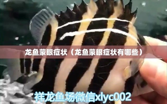 龍魚蒙眼是怎么回事（關(guān)于龍魚蒙眼的詳細(xì)信息） 龍魚百科 第1張