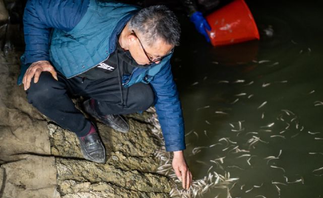 金龍魚怎么養(yǎng)發(fā)色好看圖片（如何保持金龍魚的健康發(fā)色？） 水族問答