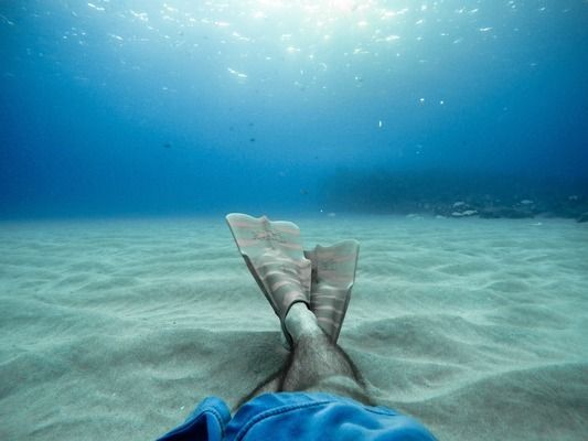 龍魚分類地位圖（龍魚的分類、級別分布和品種介紹） 龍魚百科 第2張