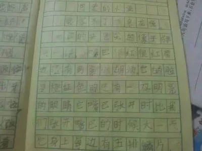 龍魚的選擇和鑒賞怎么寫作文300字（龍魚的選擇和鑒賞） 龍魚百科 第2張