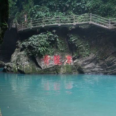 青龍魚業(yè)門票多少錢（青龍魚業(yè)門票價(jià)格是多少） 龍魚百科 第4張