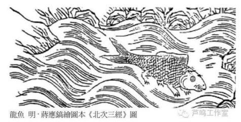 龍魚口感怎樣描述的（龍魚與其他魚類口感對比，如何挑選新鮮龍魚的口感對比） 龍魚百科