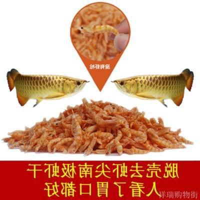 龍魚吃魚糧嗎（龍魚專用魚糧品牌推薦龍魚活餌喂養(yǎng)技巧如何判斷龍魚魚糧質量） 龍魚百科 第5張