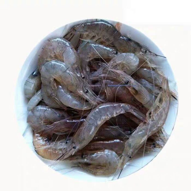 龍魚吃河蝦還是大蝦好（龍魚是吃河蝦還是大蝦） 龍魚百科 第3張