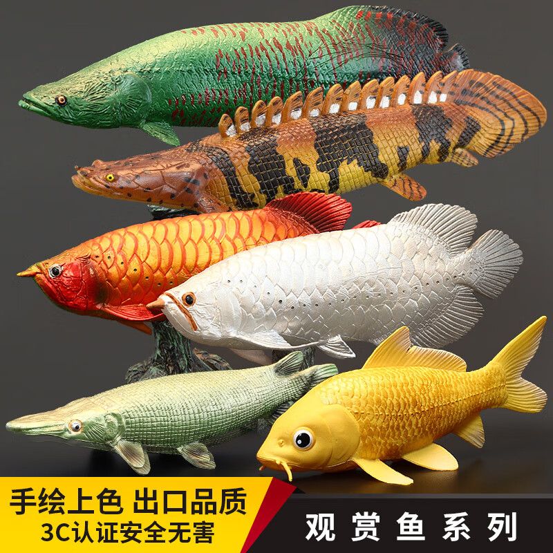 金龍魚怎樣養(yǎng)上色快一點(diǎn)（金龍魚上色速度受到多種因素影響，加快金龍魚上色速度） 龍魚百科 第5張