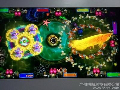 三色金龍魚游戲機（三色金龍魚游戲機價格） 龍魚百科 第5張