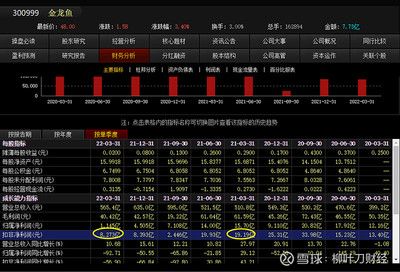 金龍魚一季報(bào)預(yù)測(cè) 龍魚百科 第1張