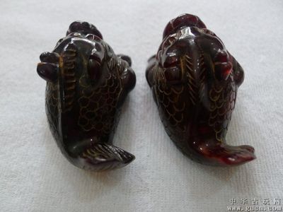 龍魚(yú)交易平臺(tái)（龍魚(yú)交易平臺(tái)怎么選） 龍魚(yú)百科 第3張