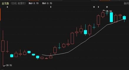 金龍魚今天的收盤價（金龍魚今日收盤價為30.61元2024年12月20日） 龍魚百科 第4張