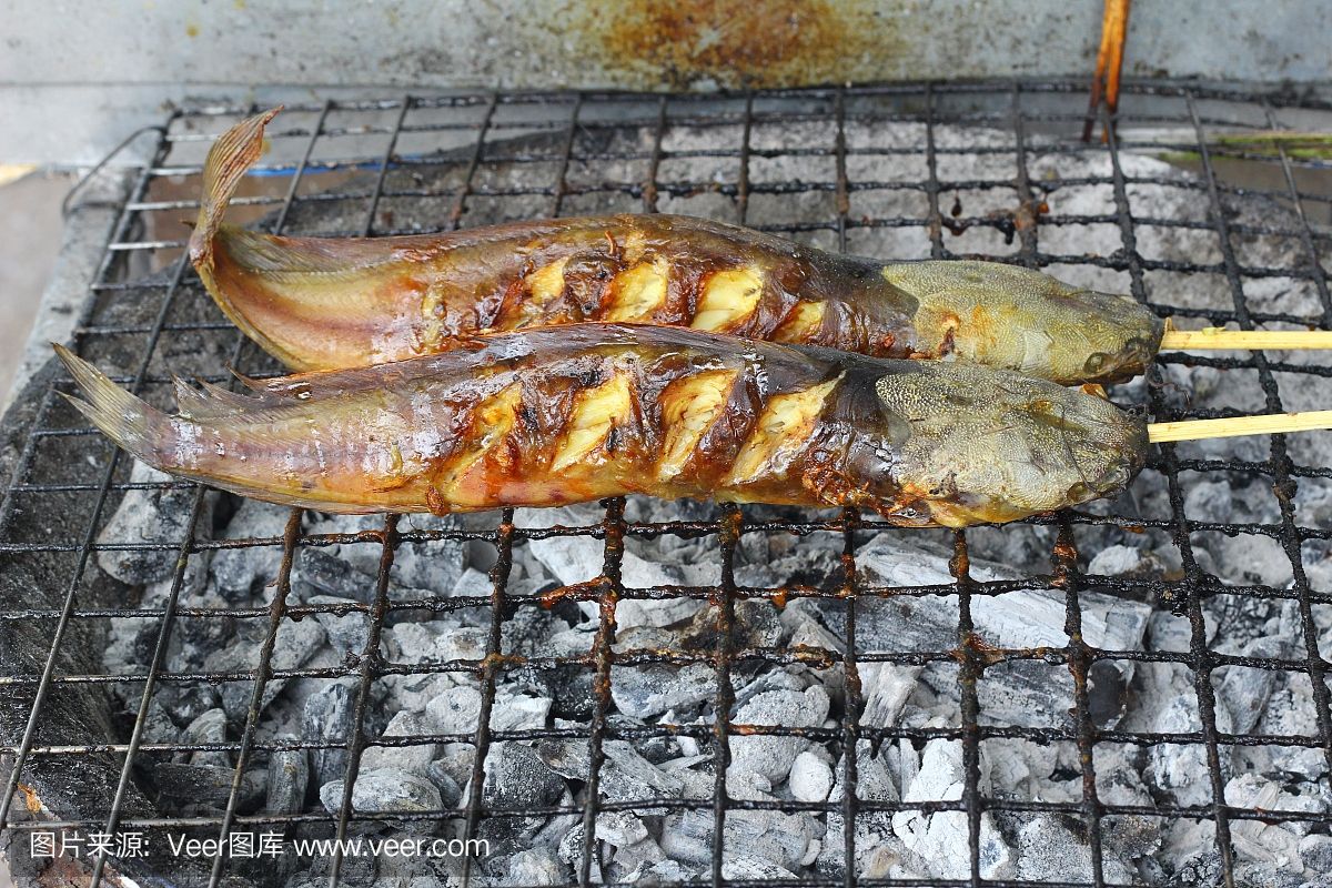 龍魚(yú)是河魚(yú)還是海魚(yú)（東南亞龍魚(yú)分布區(qū)域,龍魚(yú)飼料選擇指南,淡水龍魚(yú)養(yǎng)殖技巧） 龍魚(yú)百科 第4張